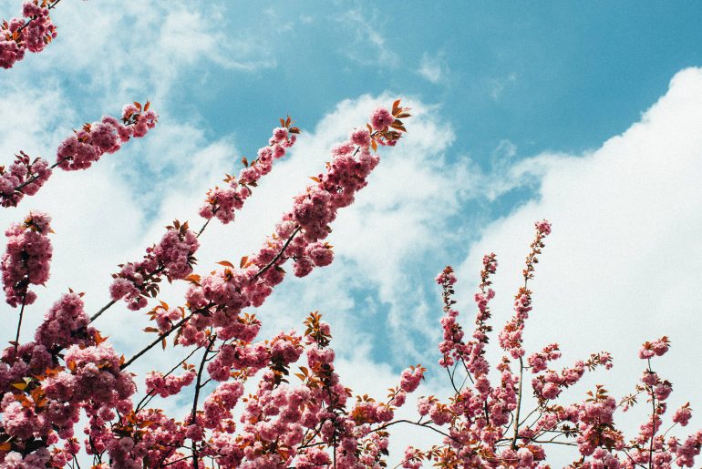 10 Ideas To Spice up Your Next Hiking Trip
